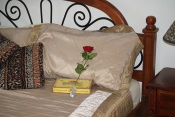 Kingfishers Manor @ Noosa - Perisher Accommodation 16