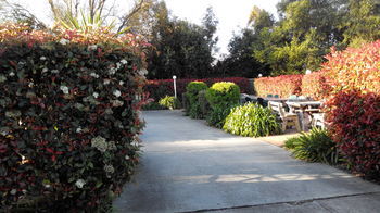 Branxton House Motel, Hunter Valley - Perisher Accommodation 13