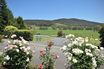 Langbrook Estate Cottages - Perisher Accommodation 15