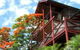 Maleny Tropical Retreat Balinese B&b - thumb 9