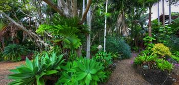 Maleny Tropical Retreat Balinese B&b - Perisher Accommodation 11