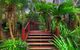 Maleny Tropical Retreat Balinese B&b - thumb 14