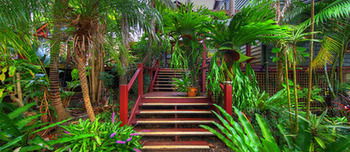 Maleny Tropical Retreat Balinese B&b - Perisher Accommodation 14