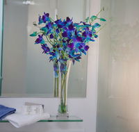 Grand Hotel Wyong - Perisher Accommodation