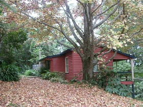 Turkeys Nest Rainforest Cottages Mt Glorious - Perisher Accommodation 1