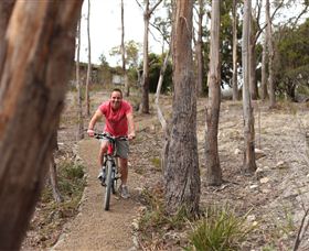 Tranquil Point Retreat - Perisher Accommodation 1
