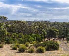 Catherine Lodge Farm Gate Cottages - Perisher Accommodation 1