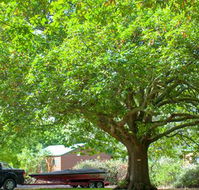 Lakes and Craters Holiday Park - Perisher Accommodation