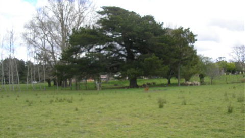 Auberge Woodend - Perisher Accommodation 3