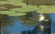Cabins@theView - thumb 1