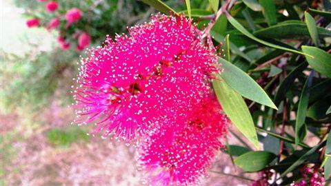 Sweetwater Stays Rural Retreat - Perisher Accommodation 4