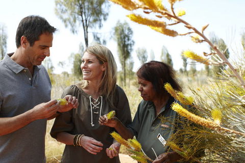 Ayers Rock Campground - Perisher Accommodation 2