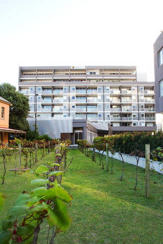 B7 Honeysuckle Apartments - Perisher Accommodation 1