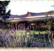 Bluebush Estate - Perisher Accommodation