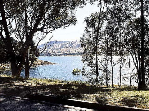 Ibis Styles Albury Lake Hume Resort - Perisher Accommodation 1