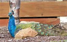 Lake Hume Tourist Park - Perisher Accommodation 1