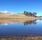 Bombala Maneroo Motel - Bombala - Perisher Accommodation