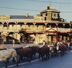 The Commercial Hotel Coonamble - Coonamble