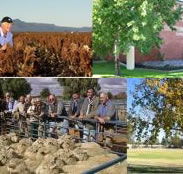 Southern Cross Motor Inn - Perisher Accommodation