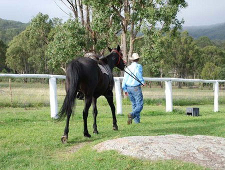 Cherrabah Resort - Perisher Accommodation 2
