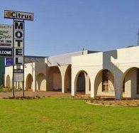 Citrus Motel - Perisher Accommodation