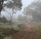 Heritage Park Bathurst - Perisher Accommodation