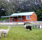 Moorallie Cottage Farm Stay - Perisher Accommodation