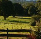 Pines on the Plateau - Perisher Accommodation