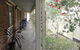 2 Dogs Cottages - Lemon - thumb 2