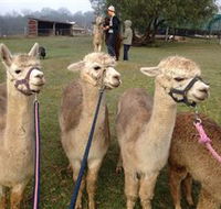 Bunyip Springs Farmstay - Perisher Accommodation