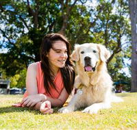Jacobs Well Tourist Park - Perisher Accommodation