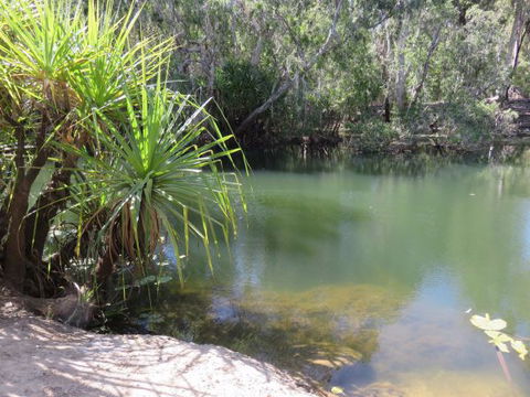 Bitter Springs Cabins And Camping - Perisher Accommodation 7