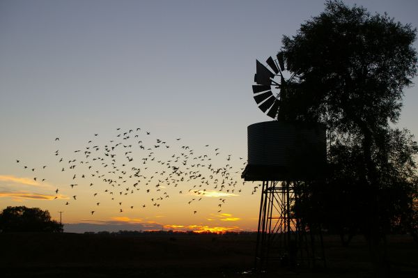 Tooraweenah NSW Perisher Accommodation