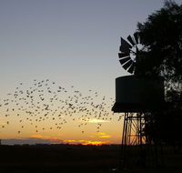 Nevertire Hotel - Perisher Accommodation