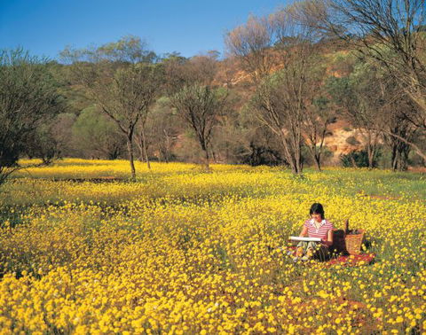Wolfe Creek Crater Camp At Wolfe Creek Crater National Park - Perisher Accommodation 20