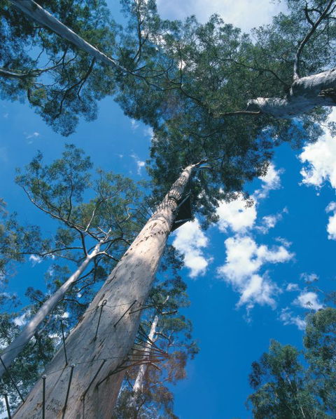 Wolfe Creek Crater Camp At Wolfe Creek Crater National Park - Perisher Accommodation 13