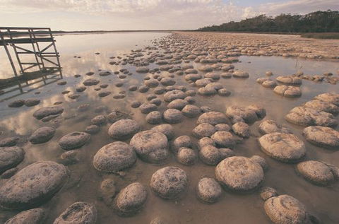 Wolfe Creek Crater Camp At Wolfe Creek Crater National Park - Perisher Accommodation 22