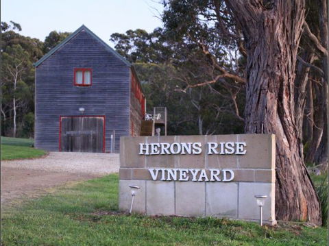 Herons Rise Vineyard Accommodation - Perisher Accommodation 6