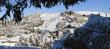 Alpine Ridge Lodge - Perisher Accommodation 0