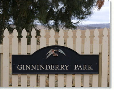 Ginninderry Homestead - Perisher Accommodation 1