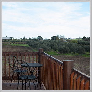Wine Diva Tours - Perisher Accommodation 9