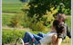 Wine Diva Tours - thumb 14