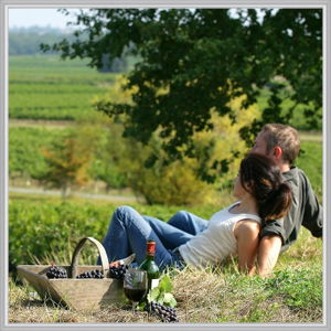 Wine Diva Tours - Perisher Accommodation 14