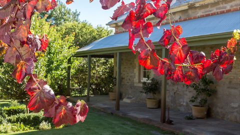 Grand Cru Estate Homestead - Perisher Accommodation 0
