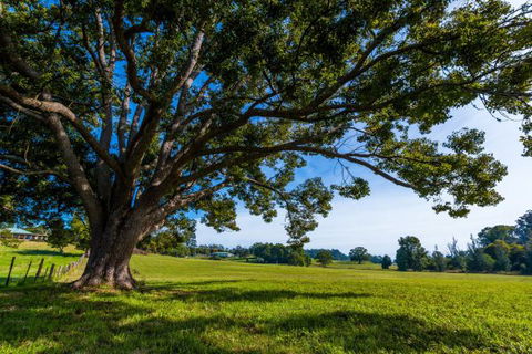 All About Me Bed And Breakfast - Perisher Accommodation 8