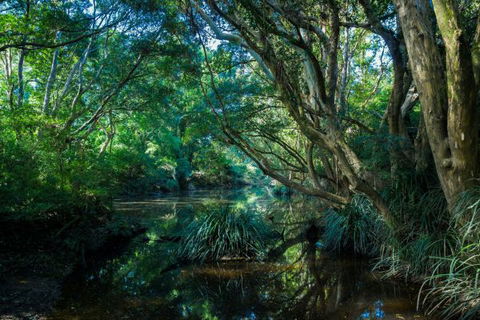 All About Me Bed And Breakfast - Perisher Accommodation 9