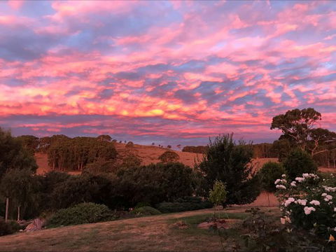 Avaleigh Elms Farmstay - Perisher Accommodation 5