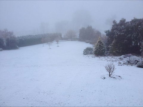 Avaleigh Elms Farmstay - Perisher Accommodation 6