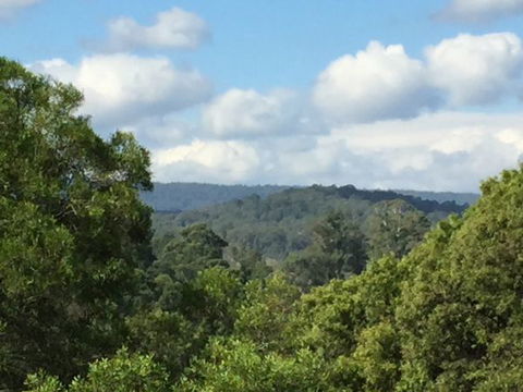 Barrington Tops Escapes - Perisher Accommodation 3