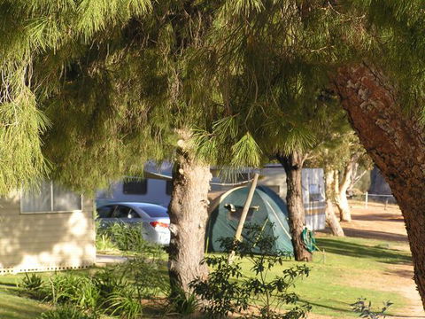 Barmera North Lake Caravan Park - Perisher Accommodation 0